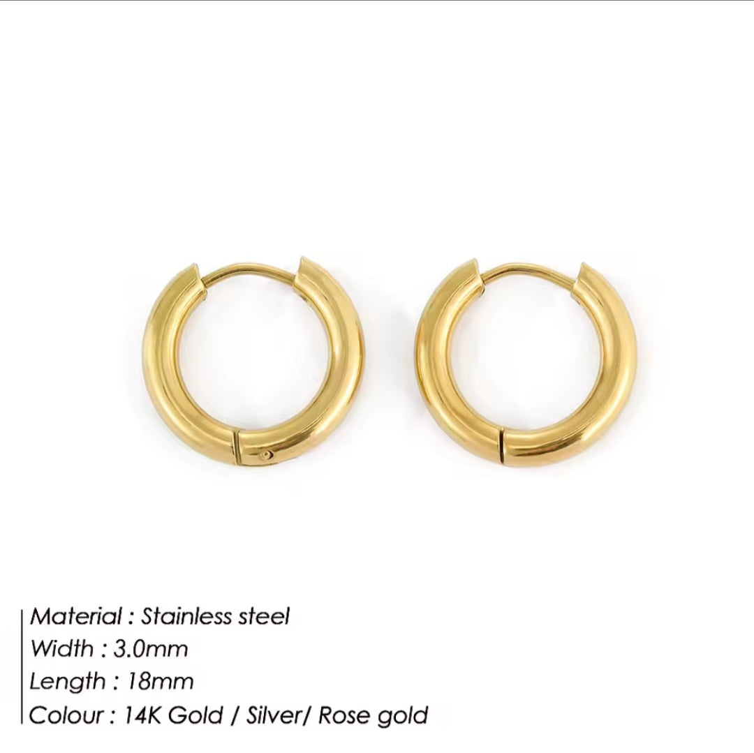 Stainless Steel Hoops Earrings
