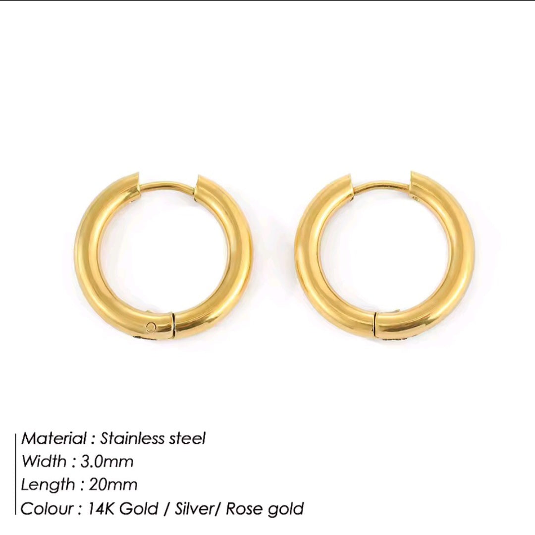 Stainless Steel Hoops Earrings