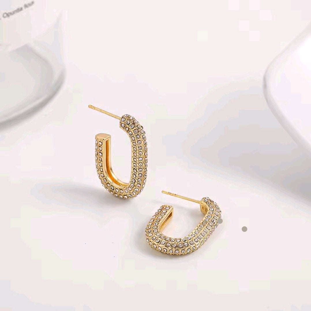 Hoopsie Doops Earrings