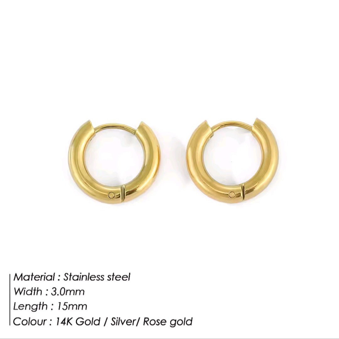 Stainless Steel Hoops Earrings