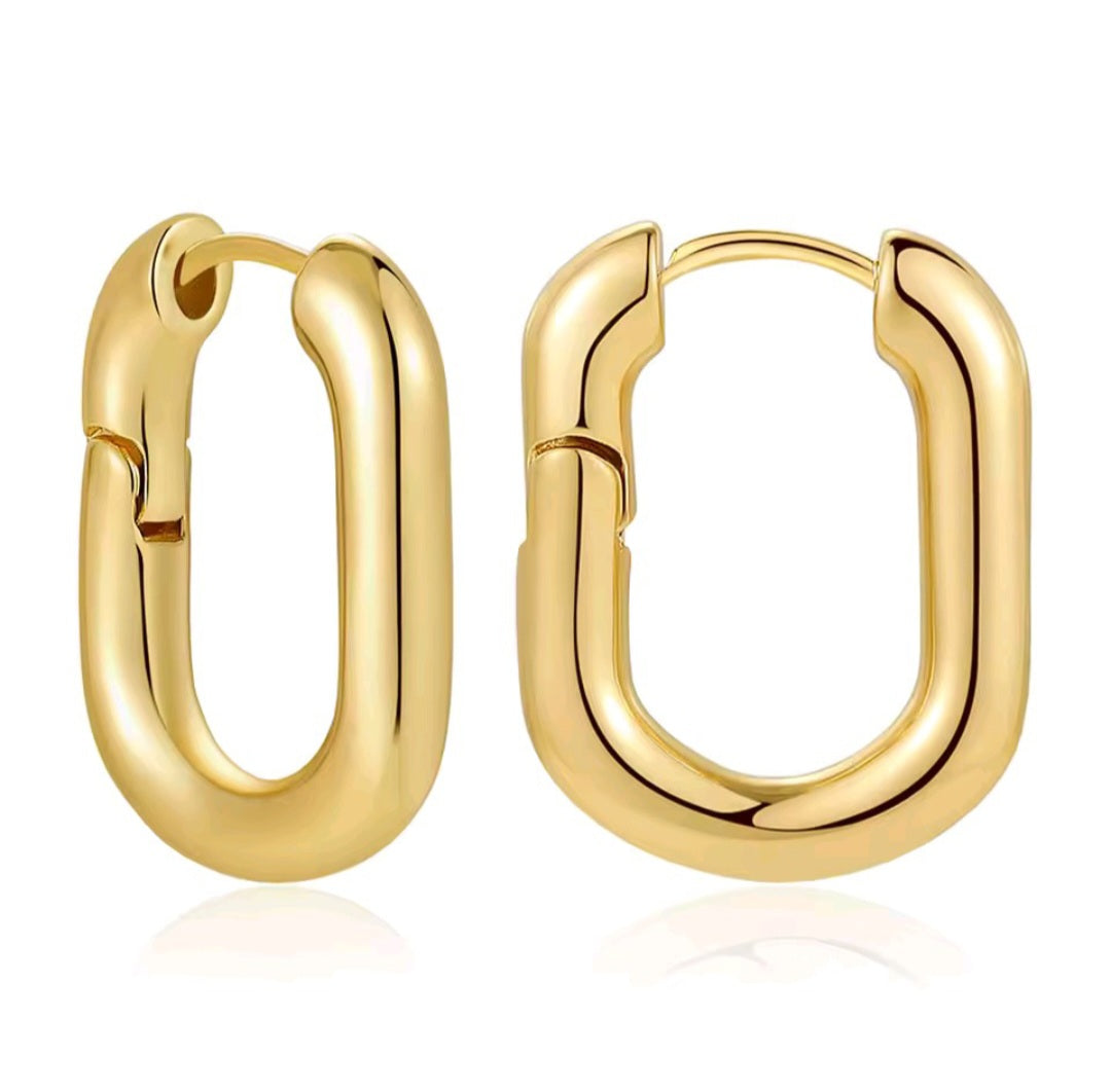 Hoopsie Doops Earrings